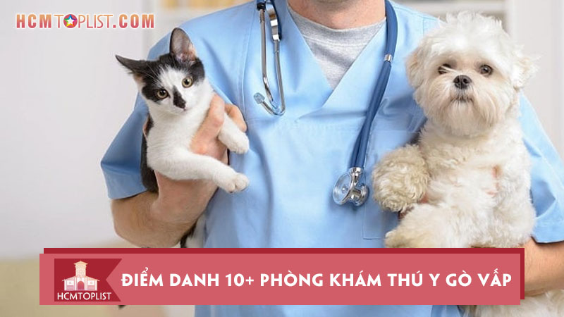 diem-danh-10-phong-kham-thu-y-go-vap-cho-pet