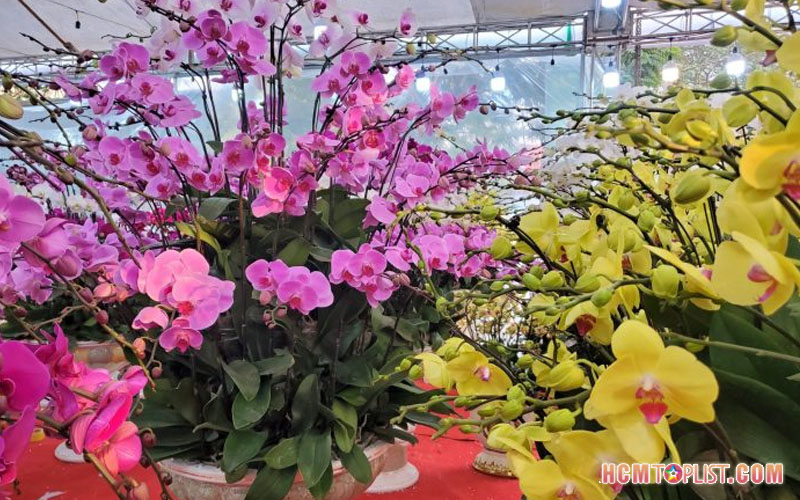 love-flowers-shop-hcmtoplist