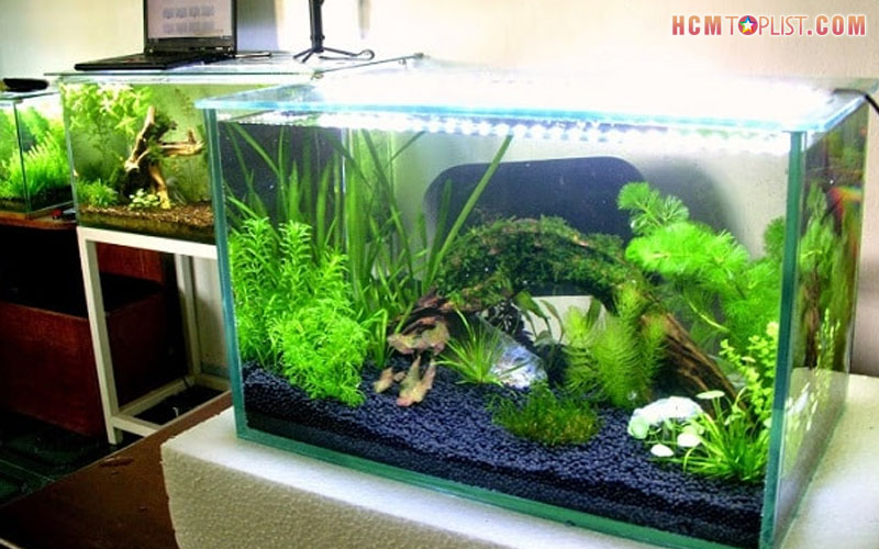 cua-hang-best-aqua-hcmtoplist