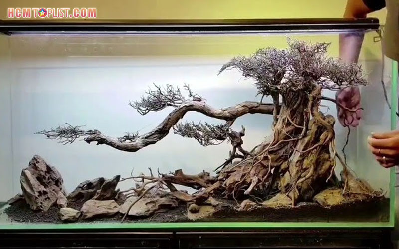 ho-ca-nam-hai-duong-hcmtoplist