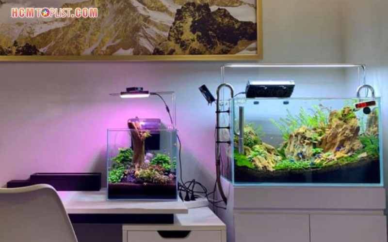 phuong-nhi-aquarium-hcmtoplist