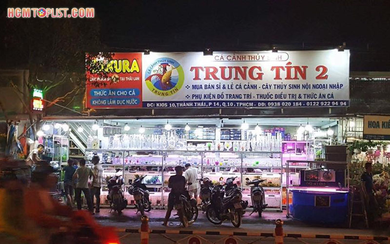 tiem-ca-canh-thuy-sinh-trung-tin-hcmtoplist