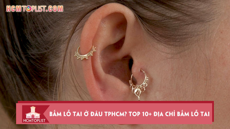 bam-lo-tai-o-dau-tphcm-top-10-dia-chi-bam-lo-tai-xo-khuyen-dep.jpg