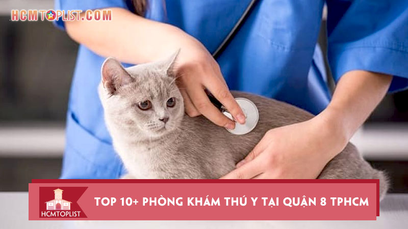 top-10-phong-kham-thu-y-tai-quan-8-tphcm