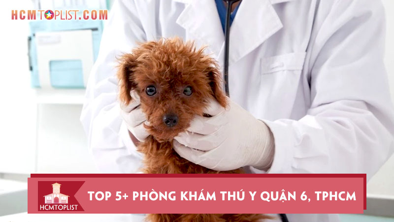 top-5-phong-kham-thu-y-quan-6-tphcm-uy-tin-nhat