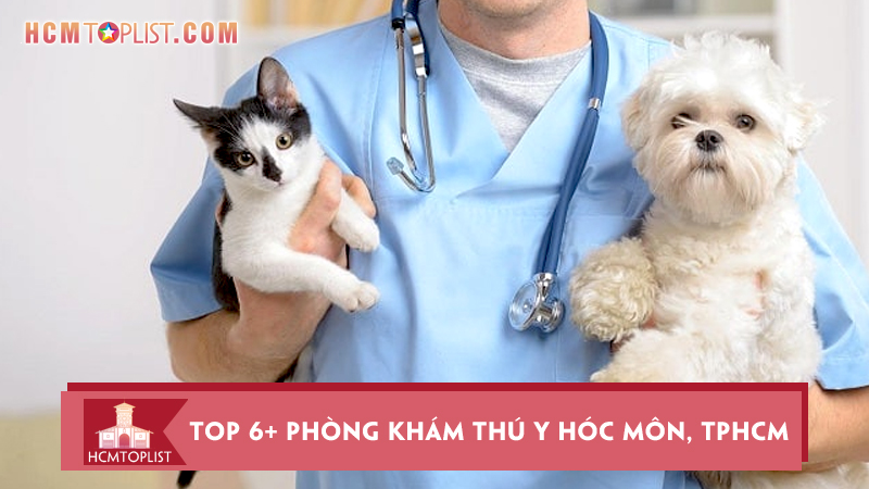 an-tam-voi-top-6-phong-kham-thu-y-hoc-mon-tphcm