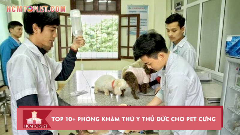 top-10-phong-kham-thu-y-thu-duc-cho-pet-cung-1