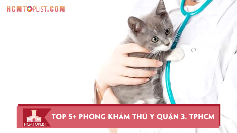 top-5-phong-kham-thu-y-quan-3-tphcm-uy-tin-nhat
