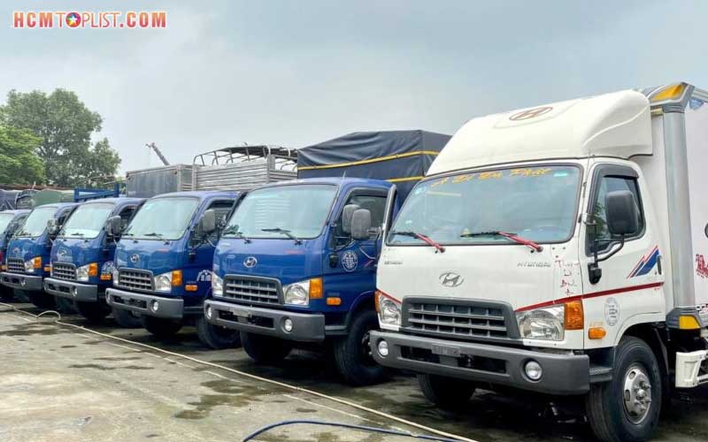 Quoc-vuong-van-tai-hcmtoplist