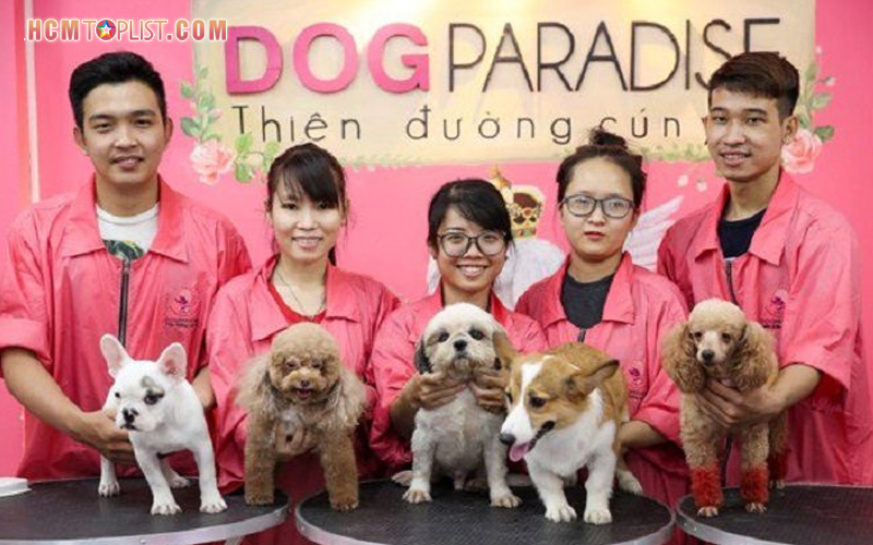 Dog-paradise-hcmtoplist