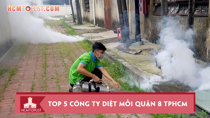 Công ty diệt mối Tiến Đạt