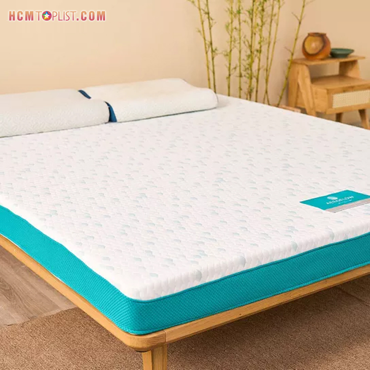 Cac-loai-nem-pho-bien-tren-thi-truong