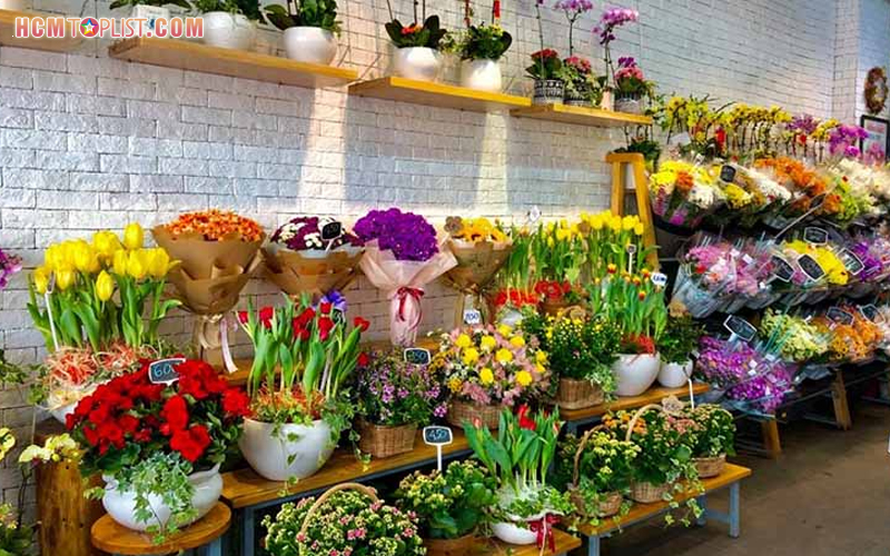 Dalat-hasfarm-hcmtoplist