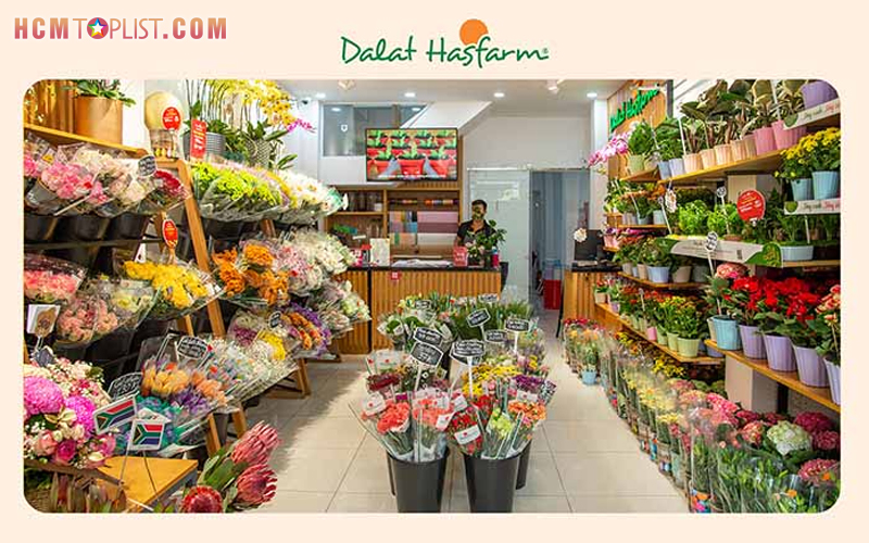 Dalat-hasfarm-hcmtoplist