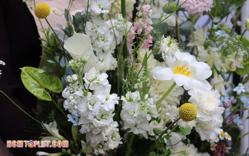 Gabriel-flora-hcmtoplist