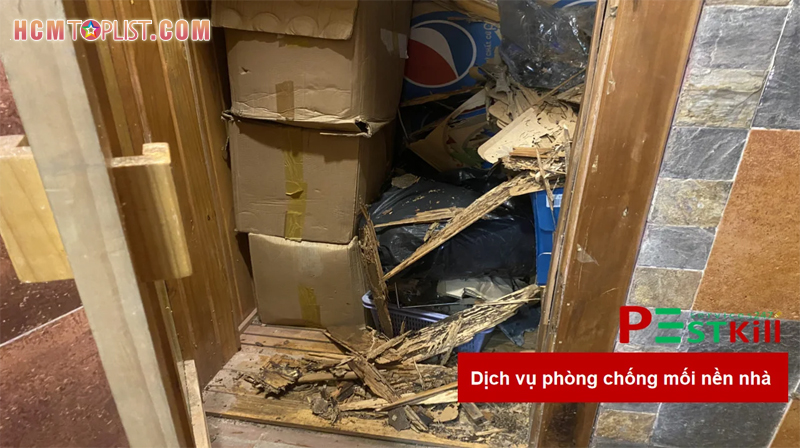 Tai-sao-can-su-dung-dich-vu-diet-moi-chuyen-nghiep-1