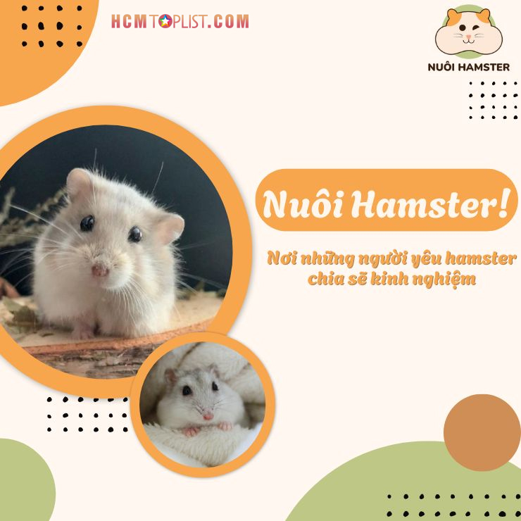 Nuoihamster-noi-khoi-dau-hanh-trinh-nuoi-thu-cung
