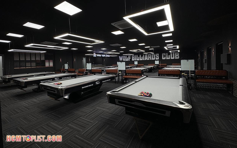 Wolf-billiards-hcmtoplist-1