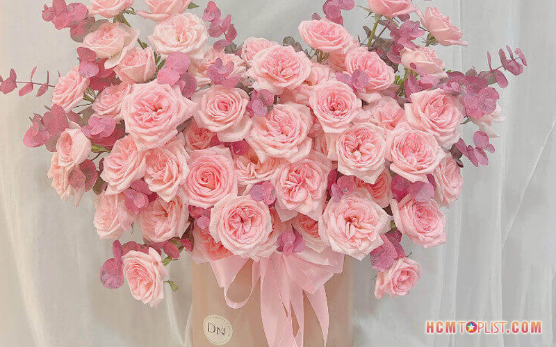 Hong-nhung-flower-hcmtoplist