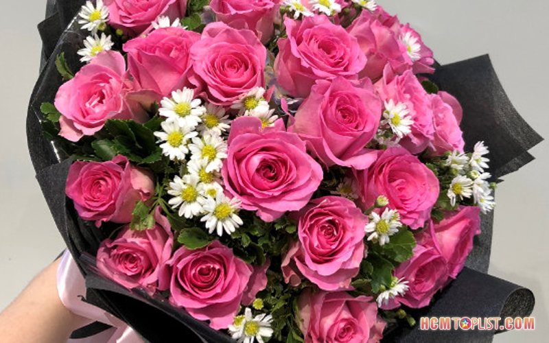 Lalahoa-net-hcmtoplist