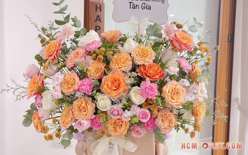 Hoa-tuoi-dollar-flower-hcmtoplist