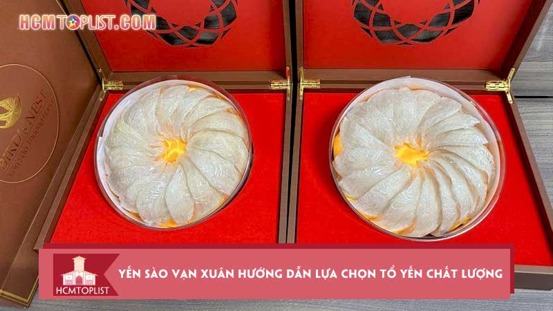 Yen-sao-van-xuan-huong-dan-lua-chon-to-yen-chat-luong-gia-mem-hcmtoplist